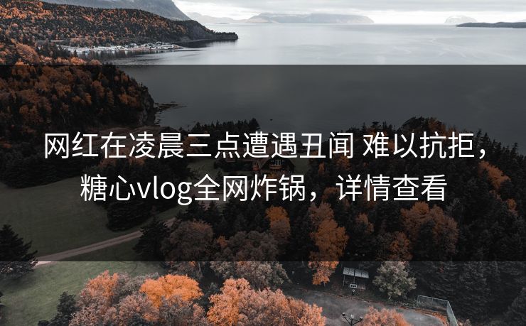 网红在凌晨三点遭遇丑闻 难以抗拒，糖心vlog全网炸锅，详情查看