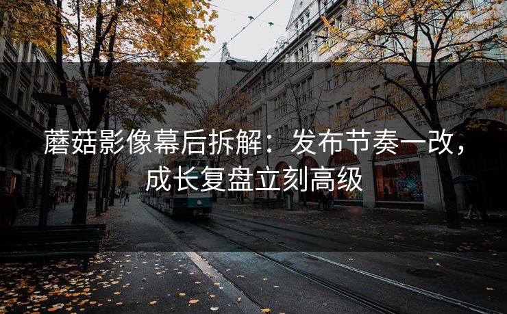 蘑菇影像幕后拆解：发布节奏一改，成长复盘立刻高级