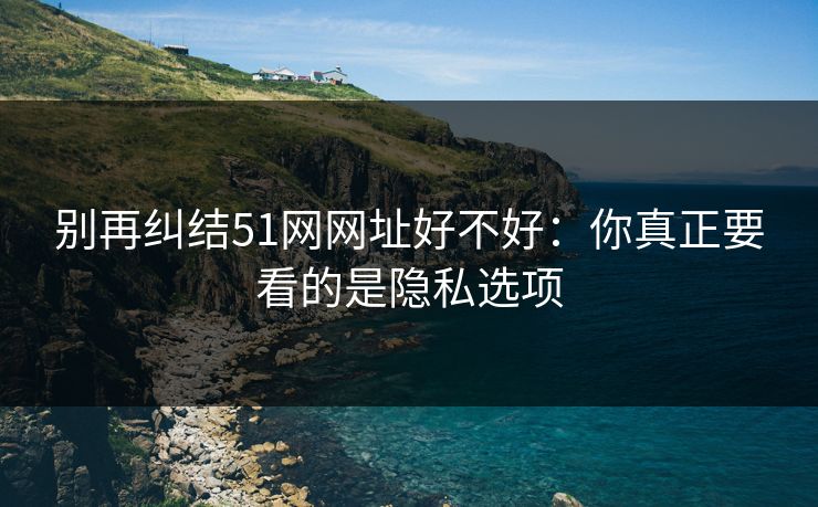 别再纠结51网网址好不好：你真正要看的是隐私选项