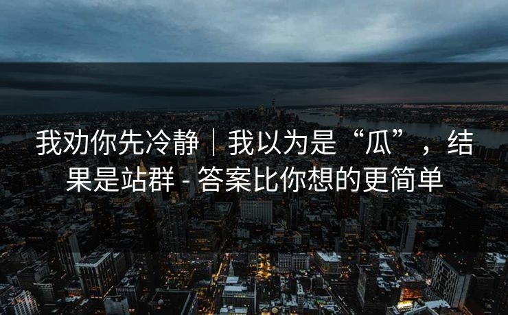 我劝你先冷静｜我以为是“瓜”，结果是站群 - 答案比你想的更简单